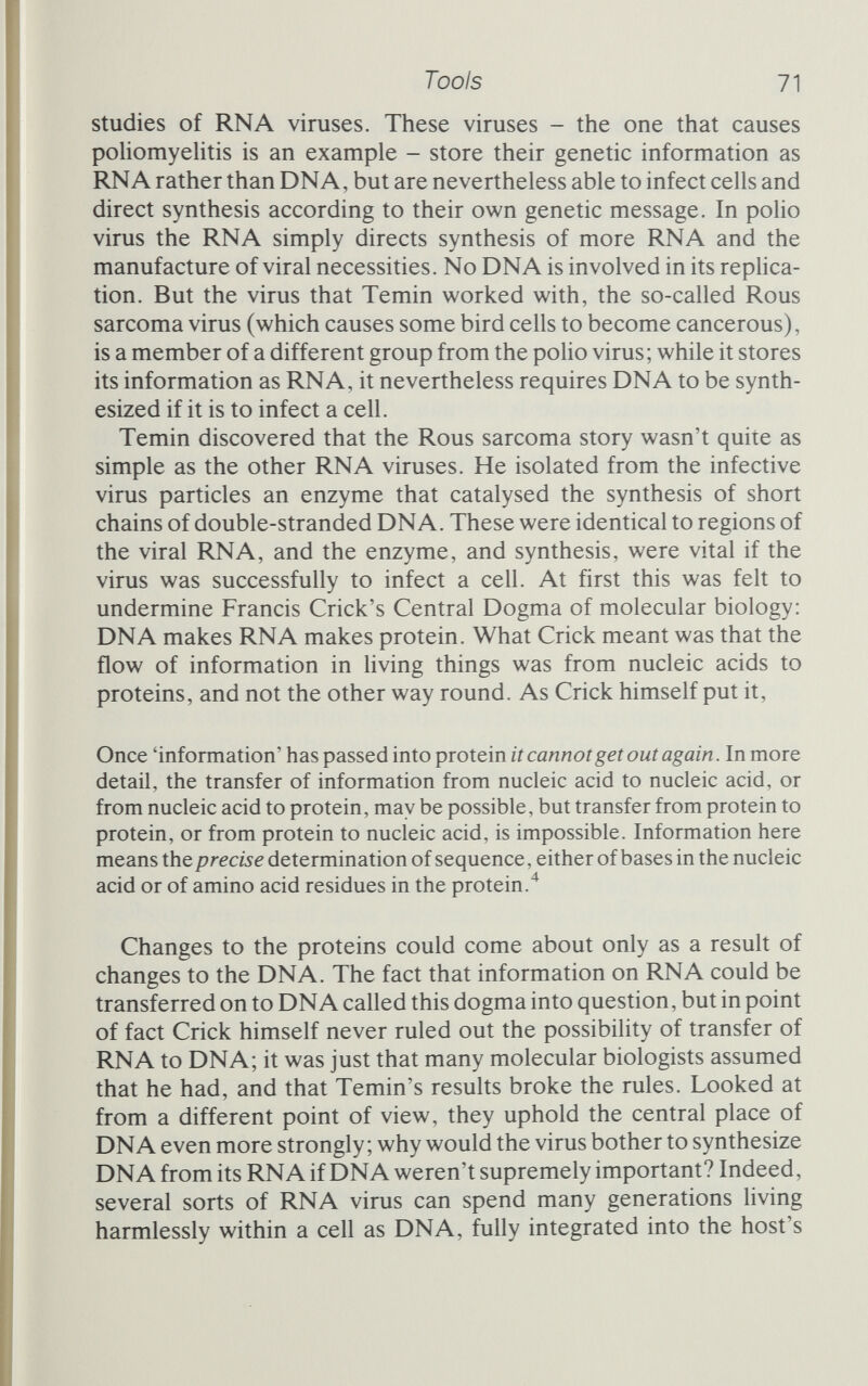 Tools 73 DNA for a single gene. The starting point is purified mRNA from the gene in question. If this is incubated with reverse transcriptase and a supply of activated nucleotides, the complementary DNA strand will be made on the RNA template. That done, the RNA is destroyed by mixing with alkali, which attacks RNA but not DNA. Now, the single strand of DNA is offered as a template to DNA polymerase, which synthesizes the complementary strand to create duplex DNA. The result: a faithful complementary DNA (usually called cDNA) copy of the messenger RNA for a particular protein. This technique for getting the DNA that corresponds to the protein you are interested in is a very valuable one because it cuts out many of the niggling steps that living cells are good at but that the biochemist still finds incredibly difficult. The mRNA is the step just before protein; catch the message there, and it's a good bet that the cDNA will, if all the other stages succeed, be translated into that protein and no other. The ability to interfere These, then, are the enzyme tools of the genetic engineer. There are a few others that find specific uses from time to time, but by and large our survey of the toolbox is complete. The exciting prospect is that there may yet be undiscovered enzymes that will perform different, but equally useful, tricks. Some scientists doubt this, arguing that the search for enzyme activities has been so intense that, as far as ones that operate on nucleic acids are concerned, we have found all the enzymes that we are going to find. Perhaps there are better sources of these enzymes waiting to be discovered, but that is all. There are no stunning new powers out there. Others are more sanguine. They feel that there could well be enzyme activities around the corner that will make even today's marvellous tools seem as clumsy as pneumatic drills. I tend to favour this view. After all, who could have foreseen that the enzymes in such general use today would ever have been isolated? And given the track record of molecular biology, it is extremely likely that, if an enzyme of unparalleled usefulness is to emerge, it will do so from a study quite unrelated to genetic engineering. The engineers will take it up and put it to work, but their toolbox is so full that they are unlikely to go looking for more.