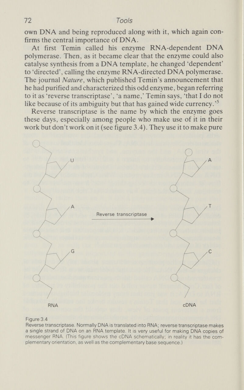 74 Tools Alone, neither the revelations of the Crick-Watson structure for DNA nor Büchner and his intellectual successors could have brought us to our present position of understanding and ability. The two had to be brought together. Maxine Singer stresses that by itself, the DNA revolution was insufficient to permit detailed and designed manipulation of genetic systems. . . . The enzyme revolution is as central to the successful manipulation of biological systems as the DNA revolution. . . . Chemistry itself has not yet provided techniques for the precise manipulation of macromolecules.^ The key is the ability to go beyond simply interpreting and understanding what one sees and to interfere purposefully. With-, out enzymes, none of that interference would be possible. People use the word 'biotechnology' to refer, among other things, to the application of recombinant techniques to the production of chemicals. Bacteria that produce insuhn and yeasts that produce alcohol are both examples of biotechnology, although only the insulin bacteria have been engineered. But the word has, I think, been misapplied. If it means anything, it is surely the abihty of hfe to do the things that man needs technology for. We can make alcohol without the help of enzymes, but it takes a pretty large and complicated set of equipment. That equipment is technology. The enzyme equipment that living cells use to carry out their chemical reactions is life's technology - biotechnology. What cannot even be contemplated with ordinary technology is done all the time by biotechnology in the sense that I use it, and the genetic engineers make use of those tools to perform impossible magic. But it is time to move out of the toolbox and on to the shop floor.