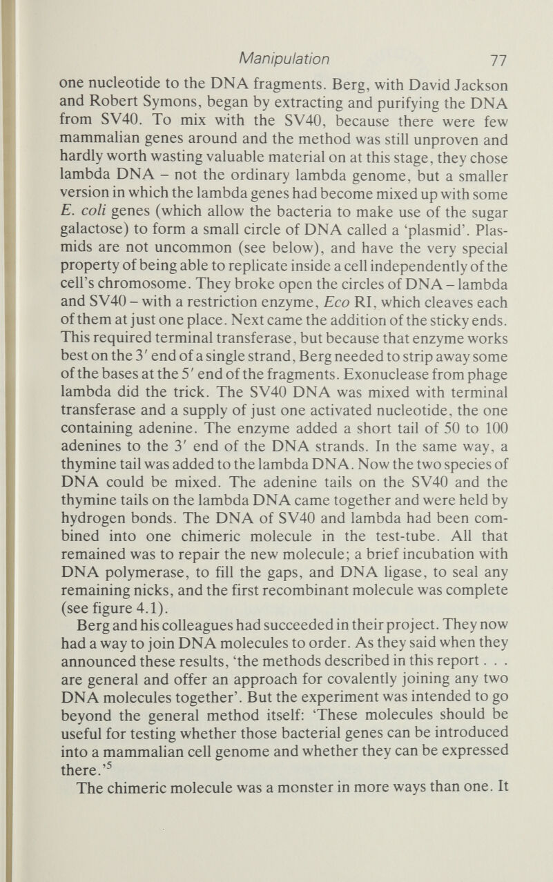Manipulation 79 was three times the size of the normal SV40 DNA, so there was no question of it becoming packaged into viral coats and then being allowed to infect cells in the normal way. Instead, Berg intended to get it into animal cells himself and see whether the E. colt genes would work there. And, because the lambda plasmid that they used would replicate on its own in E. coli, they also planned to put the recombinant DNA into E. coli to see whether any of the SV40 genes would operate in their new environment. Things, however, took a very different turn. In the summer of 1971, Janet Mertz, a student of Berg's, went to a workshop course on culturing mammahan cells at Cold Spring Harbor. There, right at the end of the meeting, during a discussion of safety and ethics, she mentioned Berg's plans to infect cells with recombinant SV40. Robert Pollack, course instructor, was filled with alarm. A tumour virus inside a bacterial cell that normally lives in the human gut was an entirely unknown quantity. If SV40- containing bacteria escaped and found their way into people, the consequences could be dire. Pollack telephoned Berg and asked him to reconsider, pointing out some of the dangers. Berg accepted Pollack's arguments, and decided not to do the experiment; the 'recombinant DNA debate' had begun. Research workers, led by Berg, ended up deciding voluntarily to suspend certain types of work until the hazards had been assessed and guidelines for recom¬ binant research drawn up.^ Ironically, had Berg gone ahead with his experiment, it would have been a total failure, and no one would have had the shghtest idea why. We shall come back to this later (see page 86). Homopolymer tailing, as devised by Berg (and independently confirmed by Peter Lobban and Dale Kaiser)^, provided exactly the general method Berg had sought. But while the researchers temporarily abandoned their plans to introduce the recombinant molecules into living cells, pure research work continued, and came up with different and much simpler methods for joining DNA fragments together. In Berg's biochemistry laboratory Mertz, with Ronald Davis, was examining Eco RI in some detail; while just across the Stanford campus in the Department of Genetics Vittorio Sgaramella was doing the same. Their targets, however, were different; Mertz set her Eco RI to work on SV40 DNA, while Sgaramella concentrated upon the DNA of a phage that attacked Salmonella bacteria: phage P22. What they both