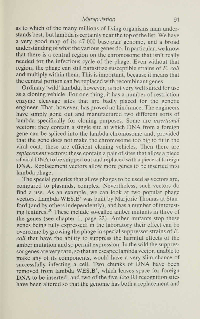 Manipulation 93 Lambda packages its DNA into a coat made of different pro¬ teins, each coded for by a different gene on the DNA. Two proteins make up the bulk of the 20-sided head, while others form the tail and unite tail and head. The virus normally churns out its DNA in long strands, each made up of a number of copies of the single genome. Between each segment is a region called cos, and it is here that one of the virus enzymes produces nicks 12 bases apart on the two strands, giving rise to lambda's sticky ends. The single seg¬ ments are packaged with the head proteins, and then another set of gene products welds head to tail. To package recombinant lambda DNA one needs to mix the DNA with all the proteins that the virus uses to assemble the mature particle. The best sources of these are special mutant strains of phage. One produces head proteins but lacks the enzyme to package the DNA; the other produces tails and the packaging enzyme. Between them, the two mutants take the DNA and produce from it millions of mature particles that can be used to infect cells in the normal way. The viruses seek out an attachment site on the surface of the cell, the tail sticks on, and the DNA is injected into the cell to begin the cycle of infection. And doing it this way, as I mentioned, multiplies the yield of trans¬ formed cells by more than a thousand. The packaging system of lambda is not, actually, terribly fussy. It will snip and wrap any piece of DNA that carries two of the cos recognition sites roughly the right distance apart. That makes it possible to use the phage to package DNA that, apart from the cos sites, is not from lambda particles at all. The packaged DNA is then part of a pseudo-virus vector. These vectors are called 'cosmids', and they enable genetic engineers to combine the superior prop¬ erties of phage particles as vectors with the undoubted advantages of Plasmids as instruments for cloning. John CoUins and Barbara Hohn made the first cosmids in 1978 by inserting the cos site of lambda DNA into a plasmid carrying an antibiotic resistance marker.The plasmid has an Eco RI site, so incubating it with Eco RI fragments and DNA ligase produces the recombinants. The cosmid itself is about 7500 base-pairs long, and as lambda coats will hold a DNA strand of between 35 ООО and 47 ООО base-pairs, this leaves room for a much more sizeable gene insert than a normal lambda vector will permit (see figure 4.5). Once packaged, the recombinant DNA will be injected into a suitable host as if it were lambda DNA. In the cytoplasm, the cos sites attract one another