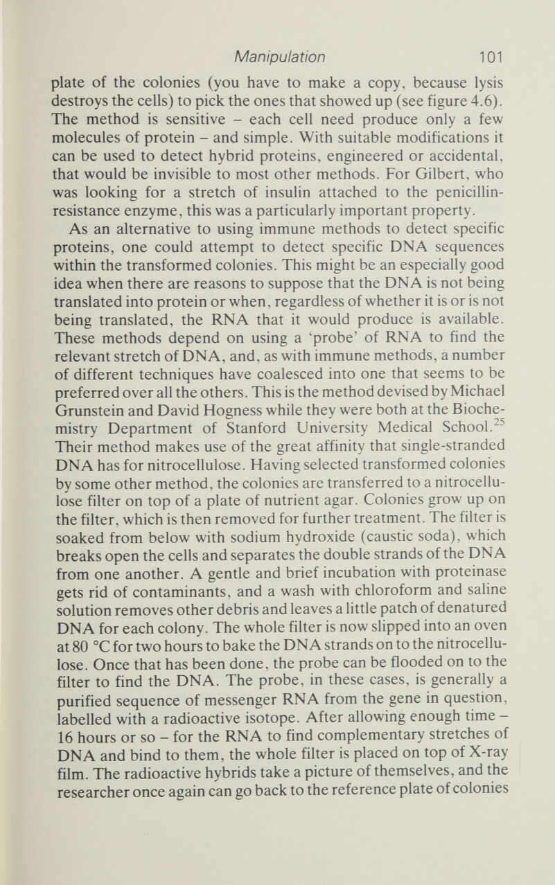 Manipulation 103 partner, and you have the basis of one of the most powerful methods for finding that clone in a million, It is called 'hybrid arrested translation' (or HART), and it is the brainchild of Bryan Roberts at Harvard Medical School.HART can identify a given DNA in a clone even if neither DNA nor RNA probes are avail¬ able, so long as you know what protein you are looking for. Each clone's DNA is extracted and purified, and the two strands are separated from one another. The strands are mixed with the raw RNA from the donor cells whose DNA was recombined with the vector. Each bit of donor mRNA binds to its complementary DNA if that DNA is present. The whole lot is then put into a cell-free synthesis system, like the ones pioneered by Marshall Nirenberg to crack the genetic code, in which everything needed to synthesize proteins from mRNA is present. All the mRNAs in the mixture begin busily directing protein synthesis, except for any that are bound to DNA. So if the protein you are looking for is present in the mixture, the gene you want is aîoî present in the clone. To find the protein, use a radio-labelled antibody. If the protein is being made by the cell-free system, then it will bind to the antibody and the radioactivity will reveal it. But if the purified recombinant DNA from the clone contains the gene you are interested in, the mRNA will have bound to the gene and none of that protein will have been synthesized. As a check, if you separate the mRNA and DNA, by gentle heating, synthesis of the protein will now take place (see figure 4.8). Again, having used hybrid arrested translation to find one clone with the desired bit of DNA, that clone can be grown up to provide probes for use with the other, simpler, methods. Strategy Genetic methods, immune methods, hybridization methods all have one goal: to detect a particular cell from among many mil¬ lions. When that cell has been found, we have accomplished the last of Cohen's four steps. We can break and join DNAs from different sources, with homopolymer tailing, straightforward restriction enzyme Hgation or linkers. We can insert fragments into cloning vectors, which might be bacterial plasmids, bacteriophages or chimeric combinations of the two, and these can be inserted into