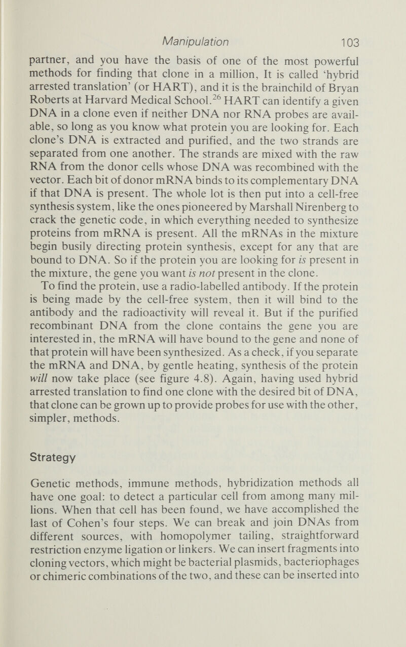 Manipulation 105 host cells. There, the cloning vehicles will multiply and thus amplify the amount of DNA at our disposal. When, finally, we select the particular clones that contain the recombinants we seek, the next phase begins. This might be to read the sequence of bases along a gene, or to manufacture the protein product of that gene in bulk, or to refine genetic engineering methods yet further. Every experiment is carried out with some purpose in mind, some ques¬ tion that needs an answer, and the particular question will dictate which method we employ at each stage and the overall strategy that we pursue. If we already have a pure, or relatively pure, version of either the DNA or RNA, then the strategy is quite simple. The RNA can be turned into DNA by reverse transcriptase and the DNA purified by density-gradient centrifugation, electrophoresis or even chroma¬ tography. The vector we choose, and the method used to insert the fragment into the vector, will depend on many things. Do we want to recover the gene intact? If so, the insertion method had better create specific sites for a restriction enzyme. Do we want the recombinant molecule to synthesize some protein in bulk? If we do, we must ensure that the vehicle will enable the gene to be transcribed, and that means ensuring that the inserted fragments' codons are read from the correct reference point and that the gene is preceded by the requisite control segments that will turn transla¬ tion on. By and large, these sorts of difficulties can be overcome, as we will see when we consider specific examples of genetic engineering in progress. And if they can not, then we can manufacture new tools to solve particular problems. That is why I think of genetic engineering as a snowball, rolling unswervingly down a slope, getting bigger and going faster. And every new development steepens the slope and hastens the drop. Just when phage vectors were proving too small for certain uses, threatening to slow the ball down, along came cosmids with their vastly increased capacity, and it picked up speed. New developments come all the time, and it is fair to say that at present the genetic engineers are still novices. Going solely on the past 10 or 15 years, who knows what they will come up with next?