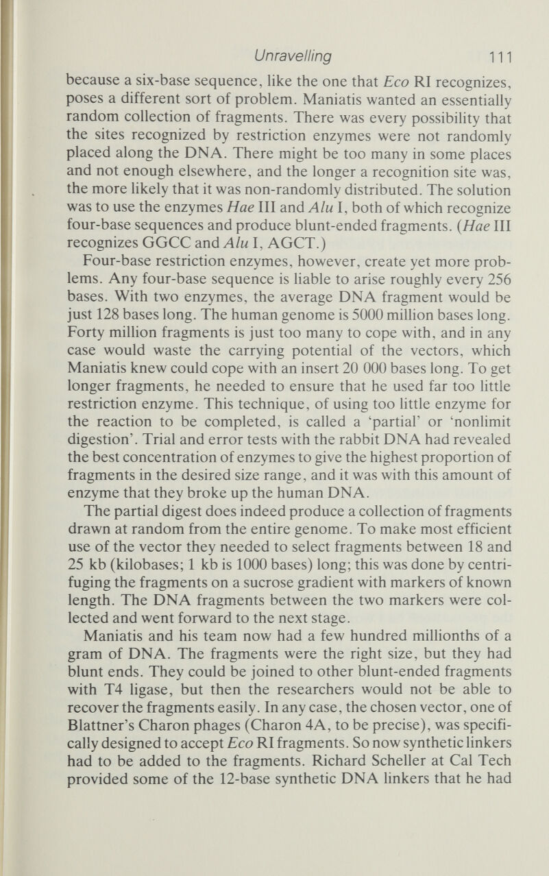 Unravelling 113 the phage vectors, was a complete Ubrary of the human genome, neatly divided into the manageable chunks they wanted. But there was not a great deal of finished material. To make the library useful it would have to be amplified so that there would be enough of it to allow people to do whatever screening and testing they needed to. The packaged recombinants - roughly a million of them - were allowed to grow for 14 hours on a lawn of fresh E. coli cells. Nutrient agar plates 15 cm across received roughly 10 ООО Charon phages each. A hundred 15 cm plates, little more than an oven full, was enough for the complete human DNA library. Once the phage had grown and amplified their precious cargo several hundred times, the agar was scraped off the plates and mixed with a little chloroform to ensure that cells that had not yet burst to release their phage would do so. The whole lot, about one-third of a litre, was spun in a centrifuge to remove bits of agar and cell debris, and popped into the freezer for storage: a small jar, holding the entire human genome as a collection of handy ready-to-use pieces. What you do with the contents of that jar is bounded only by your imagination. What Maniatis and his colleagues did was to screen hundreds of thousands of recombinant lambda phages that make up the libraries, searching for various genes that they were particularly interested in. The silkworm uses something like a hundred different proteins in building the shell of its egg. each switched on and taking its place in an orderly sequence of develop¬ ment. How is the sequence controlled? Maniatis isolated clones holding these genes by looking for ones that would hybridize with cDNA made from the mRNA of the developing egg: 350 ООО plaques yielded 350 interesting clones, which are being studied intensively to unravel the control mechanisms. The rabbit, and human, libraries offered information about another puzzle. Haemoglobin contains four protein chains of two different sorts. The globins, as they are called, determine the properties of the haemoglobin, and they change as the organism develops. Foetal globins are different from adult globins and the difference is very important, because it enables the growing foetus to remove oxygen from its mother's haemoglobin. People have long suspected that the various globin genes form a kind of family, related to one another by evolutionary descent, but to tackle the problem prop¬ erly they needed to get at the various globin genes, see how their sequences differ, how they are positioned on the chromosomes,