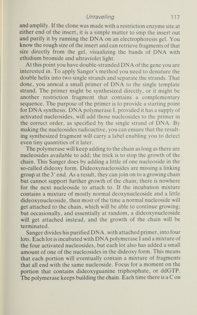 Unravelling 119 you should not), there will be at least one thoroughly labelled chain for every nucleotide position. Now you separate the synthesized fragments from their tem¬ plates and place each of the four portions into one of the wells in a Polyacrylamide electrophoresis gel. Turn on the voltage, and the fragments march down the gel, smaller ones moving faster. The gel will easily separate fragments that differ by just one added base. When the smallest fragments have reached the end of the gel, you tum off the current and load the gel on to a piece of X-ray film to take its own picture. The developed autoradiograph shows a series of four ladders, each with unevenly spaced rungs. Each ladder corresponds to one nucleotide, and each rung to a chain that has ended with that nucleotide. To read the sequence you begin at the bottom and note which ladder contains the lowest rung. That is the first nucleotide. Then you move across the ladders looking for the next highest rung. That is the second nucleotide. The next rung is the third base, and so you go, cHmbing the ladders and shifting from side to side as you reconstruct the base sequence of the gene (see figure 5,2 and plate 5.1). The method is sensitive, because the DNA fragments are label¬ led throughout and so will show up on the radiograph even if there are only a few of them. It is fast, because there is only one incubation step. And it is accurate, enabling sequences 200 bases from the primer site to be read with ease. As the sequence unfolds you can read it to decide on new primer sites further along that will enable you simply to walk along the DNA, reading it as you go. Walter's cookbook Gilbert's method is conceptually similar, in that it separates a collection of fragments using Sanger's electrophoretic ladder, but the creation of the fragments is very different.Gilbert identifies four stages in the method, once you have the full-sized fragments produced by a restriction enzyme. First, you label one end of the DNA with radioactive phosphorus. Then you randomly break the DNA at each of the four bases separately. Then you electro- phoretically order the products by size on a slab gel and make an autoradiograph of the slab. Finally, you read the base sequence off the autoradiograph (see plate 5.2 and figure 5.3). The last two are, of course, the same as Sanger's.