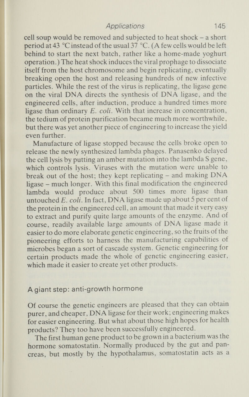 Applications 147 artificial gene into 16 segments, between 11 and 16 bases long, and then linked the segments together. The design had been carefully contrived, not only to have an Eco RI recognition site at one end and a Bam HI site at the other (to ease later handling of the gene), but also to ensure that the smaller subunits would link together. So clever was the design that, in their own words, 'the somatostatin gene self-assembles'.^ (It isn't clear how long all the preliminary assembly work on the artificial gene took, and I have been unable to find out, but this technology too has leaped ahead. Companies now advertise gene manufacturing machines that will string 16 bases together in predetermined order overnight.) The somatostatin gene that Itakura made may, or may not, have had the same sequence as the genuine article on a human chromo¬ some, but that matters not a bit so long as the end product - the protein - is the same. And, given that he had used the universal genetic code and the known sequence for somatostatin to construct the gene, there was every expectation that the bacterial and natural products would be identical. Apart from the two restriction en¬ zyme recognition sites that he put at either end of the gene, which would enable him to play about with it subsequently, Itakura also put an additional amino acid, methionine, at the start of the protein; this would prove to be very important later in the game. With the gene made, the next step was to construct a vector to get it into the E. colt cells, and that was where Bolivar came in. The basis for the vector was his plasmid pBR322, which he engineered to insert part of the lac Operon from E. colt. The point of this was to provide a start mark - the region switching the genes on and part of the first gene - that the bacterium would recognize. One of the problems with bacteria is that they don't recognize the same con¬ trol codes that higher animals use, so to get the bacterium to obey the synthetic foreign somatostatin gene Itakura had to provide the bug with a start signal that it could recognize. The lac Operon was that signal, and whenever the bacteria made the enzymes in the lac Operon, which it would do when using lactose sugar, it would also make the somatostatin. The new plasmid, with the Eco RI in¬ sertion sites, would respond to the presence of lactose by switching on the lac Operon, and in so doing would make somatostatin. To find the ideal plasmids, they infected E. coli with the modified pBR322 vector and grew the infected cells on agar that contained tetracycline, ampicillin, and the lactose analogue X-gal (see page