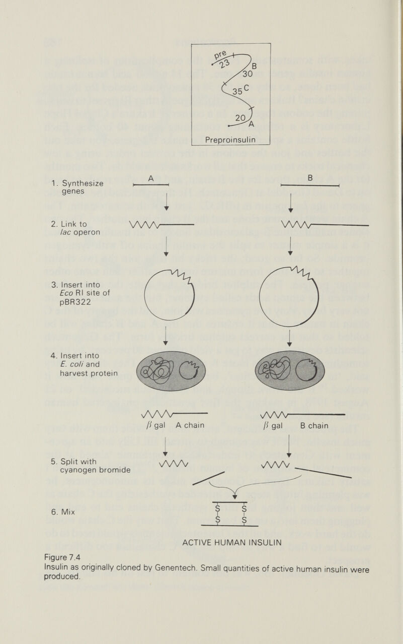 OVERVIEW2LIÍ1! SCI ENGE, TECHNOLOGY^ COMMERCE 2! GENETIC ENGINEERING (9 шв^тт JEREMY CH E RFAS