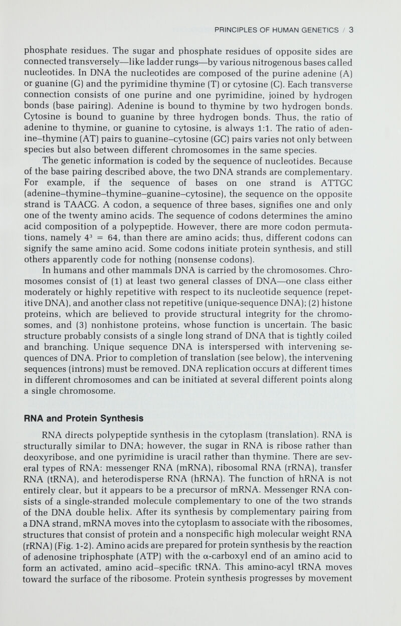 PRINCIPLES OF HUMAN GENETICS / 5 cDNA can serve as a probe that can pair (anneal) with DNA native to a given cell, perhaps of unknov^n genetic constitution. Failure to anneal indicates ab¬ sence of the DNA that should code for the gene. This technique allows diagnosis of a-thalassemia (Kan et al., 1976b). Restriction endonucleases are a series of enzymes, each of which recognizes specific sequences of four to six nucleotides. Eco RI recognizes the sequence GAATTC; other endonucleases recognize dif¬ ferent sequences. Exposing DNA to a given restriction enzyme thus cleaves the DNA into fragments of differing lengths that can be separated according to size. Using a specific cDNA probe, the fragment containing nucleotides coding for a given gene (e.g., a-globin) can be identified. This knowledge can be exploited to achieve antenatal diagnosis of certain hemoglobinopathies through analysis of amniotic fluid cells. (Recall that all cells contain the same DNA, even though ordinarily only red blood cells synthesize hemoglobin.) If the single-stranded a-globin cDNA fails to hybridize as expected with an unknown amniotic fluid DNA fragment expected to contain a-globin nucleotides, deletion of the a- globin locus exists (a-thalassemia). Exposing DNA to the restriction endonuclease Hpa 1 led to the unexpected discovery that the fragment of DNA containing hemoglobin S was longer (13.0 kb) than the fragment containing hemoglobin A (7.0 or 7.6 kb) (Kan & Dozy, 1978). Linkage analysis taking advantage of this observation can be applied to diagnose sickle cell anemia through DNA analysis of cultured amniotic fluid fibroblasts. Restriction endonucleases can also be used to diagnose hemoglo¬ binopathies caused by point mutations, i.e., alteration of a single nucleotide without deletion of DNA. Restriction endonucleases also form the basis for recombinant DNA work, a topic beyond the scope of this volume (Miller, 1981). Regulation of Protein Synthesis The regulation of mammalian protein synthesis is not fully understood. In fact, the only well-understood mechanism for the control of protein synthesis is in Escbericia coli. Jacob and Monod (1961) showed that synthesis of a given protein in E. coli requires a regulatory gene, an operator gene, and a series of structural genes. The control of protein synthesis is usually envisioned in a negative fashion. A regulatory gene is thought to elaborate a repressor that inhibits the operator gene from directing protein synthesis, which proceeds only if the repressor is absent or if an effector prevents the repressor from inactivating the operator gene. A repressor may or may not require other sub¬ stances such as an end product that exerts negative feedback (corepression). In mammals the situation is unclear, but probably is more complicated because related genes are not always even on the same chromosome. For example, a- globin is coded by No. 16, and ß-globin by No. 11. CHROMOSOMAL CONSTITUTION The genetic information is carried by chromosomes, a characteristic num¬ ber of which is present in each species. In humans there are 46 chromosomes: 22 pairs of autosomes (Nos. 1-22) and one pair of sex chromosomes (XX in