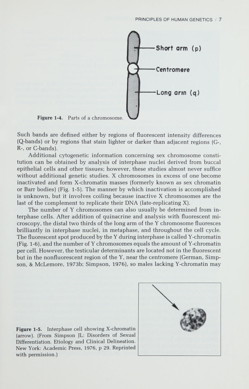 PRINCIPLES OF HUMAN GENETICS / 9 Table 1-1 Selected Characteristics of Some Banding Techniques Commonly Used in Human Cytogenetics Name Technique Pattern Q-banding Staining with fluorescent dyes (e.g., quinacrine dihydrochloride); analysis by fluorescent microscopy G-banding Pretreatment by (1) concentrated salt solutions at high temperature (e.g., 60°C), (2) proteolytic enzymes, or other method. R-banding Pretreatment by high temperature and controlled pH; staining with Giemsa. Fluorescent methods may also produce R-bands. C-banding Pretreatment by bases, acids, or other method; followed by staining with Giemsa. Positive bands fluorescent; negative bands nonfluorescent. Positive bands darkly staining; negative bands lightly staining; pattern corresponds closely to that of Q-bands. Positive bands darkly staining; negative bands lightly staining. Pattern usually the reverse of that seen with Q- and G-bands. Positive bands darkly staining; negative bands lightly staining. Positive bands usually present only at centromeric regions and Yq. Modified from Simpson JL, Martin AO: Cytogenetic nomenclature. Am J Obstet Gynecol 128:167, 1977. zymes like trypsin (GTG-bands). Q-bands are usually, but not always, present in the same locations as G-bands. By a different technique, bands (R-bands) complementary to Q- and G-bands can be produced. Thus, a dark (positive) G- band or a brilliant Q-band corresponds to a light (negative) R-band. Another commonly used technique (C-banding) utilizes denaturation with NaOH, fol¬ lowed by Giemsa staining, to define darkly staining regions called G-bands. In particular, the distal two thirds of Yq shows positive Q- or G-bands. The banding techniques used by a given laboratory depend upon the avail¬ ability of equipment and nature of the investigations to be undertaken. A given pattern of bands (e.g., G-bands) can be produced by a variety of methods. In addition, the same method of pretreatment (e.g., NaOH) can produce different banding patterns, depending upon the length of exposure and various other parameters. The obstetrician-gynecologist need not recall the details of specific banding techniques, but should be aware that several methods exist and can be used in complementary fashion. Some components (DNA) of a chromosome code for the genetic informa¬ tion, whereas other components (histone proteins and nonhistone proteins) preserve the physical integrity of the chromosome. Several types of RNA (mRNA, tRNA, and rRNA) are also associated with the nuclear complex. More¬ over, there are several types of DNA. Most human DNA was once assumed to be capable of coding for proteins, hence its designation unique-sequence DNA. However, as noted previously, it is now known that most human DNA, like