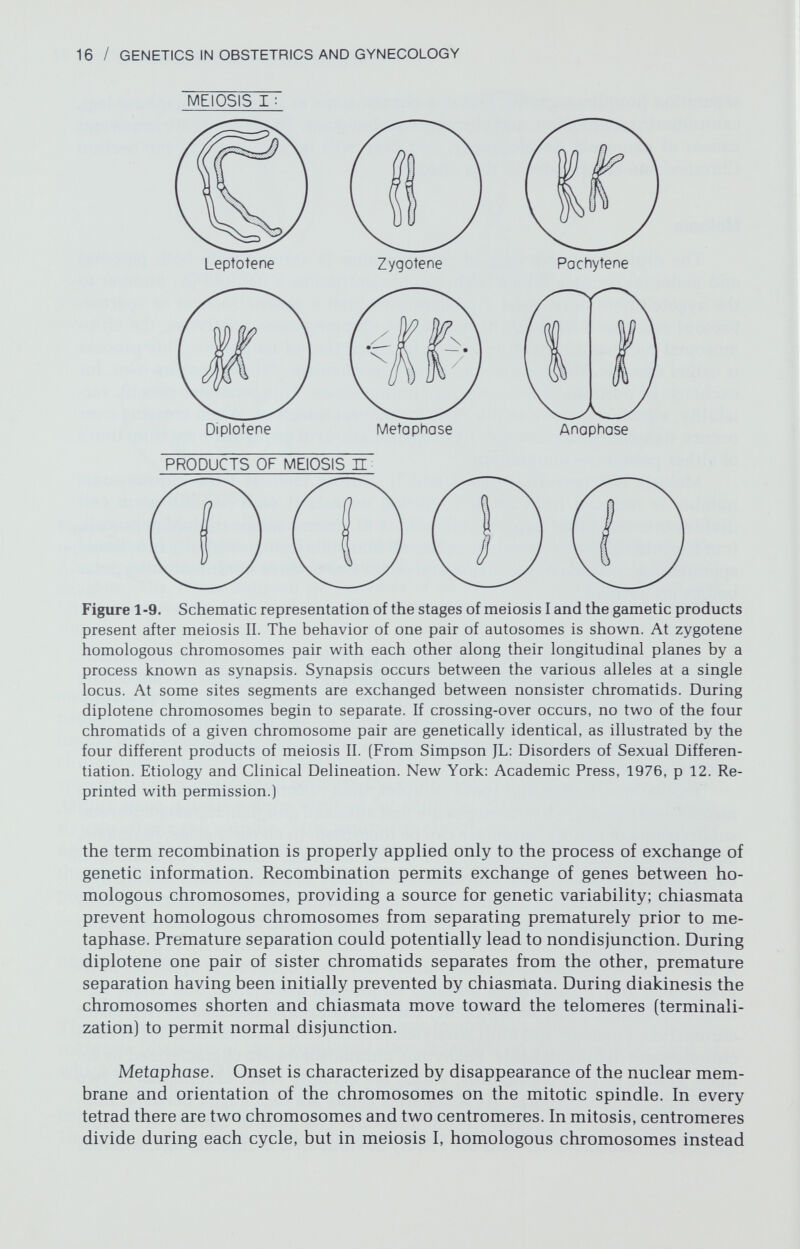 18 / GENETICS IN OBSTETRICS AND GYNECOLOGY a b Figure 1-10. Diagrammatic representation of the products of (a) normal mitosis and (b) mitosis characterized by nondisjunction of an X chromosome. If all daughter cells survived, the complement would be 45,X/46,XY/47XYY. (From Simpson JL: Disorders of Sexual Differentiation. Etiology and Clinical Delineation. New York: Academic Press, 1976, p 20. Reprinted with permission.) ation in w^hich one or more chromosomes fail to pass to daughter cells. Chro¬ mosomes lacking a centromere (acentric chromosones) are usually eliminated by anaphase lag. Errors of ploidy may arise by several mechanisms, principally double fer¬ tilization or incorporation of the second polar body into the zygote. Triploidy is detected frequently among spontaneous aborted fetuses but rarely among neonates, and tetraploidy is even rarer. Structural Errors Some structural variation (polymorphism) exists in human somatic chro¬ mosomes without apparent phenotypic consequence. However, clearly abnor¬ mal variations (aberrations) are normally associated with phenotypic abnor¬ malities. Aberrations may lead to genetic imbalance through deficiency or duplication of genetic information. In deficiency and duplication only portions Figure 1-11. Diagrammatic representation of the product of (a) normal meiosis and (b) meiosis in which nondisjunction produced two aneupolid gametes: 24,XY and 22,-. (From Simpson JL: Disorders of Sexual Differentiation. Etiology and Clinical De¬ lineation. New York: Academic Press, 1976, p 20. Reprinted with permission.) a b