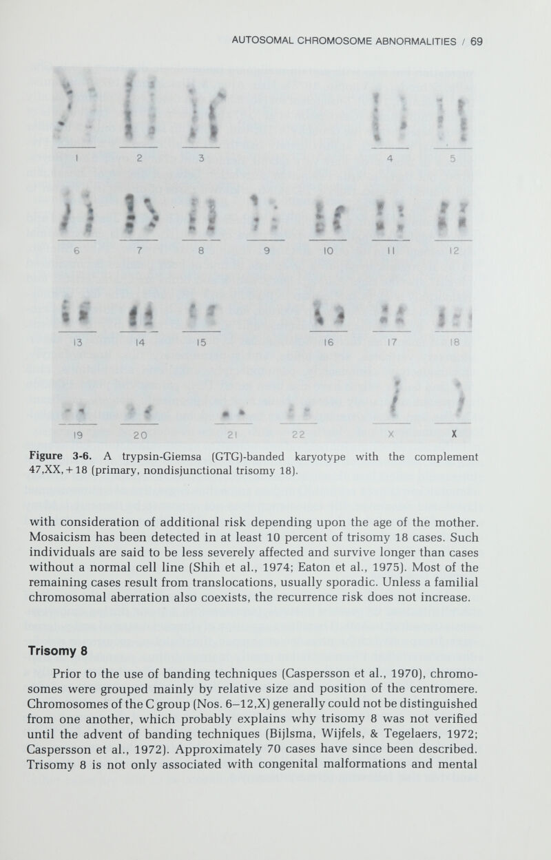 AUTOSOMAL CHROMOSOME ABNORMALITIES / 71 Trisomy 22 Additional G group (Nos. 21—22) chromosomes not associated with Down syndrome had been recognized prior to the use of banding techniques. Because the associated phenotype differed from Down syndrome, trisomy for a group G chromosome different from No. 21 was postulated. However, until banding techniques were applied, the precise origin could not be confirmed. Delineation of a trisomy 22 syndrome is now accepted. Affected individuals show many nonspecific features characteristic of all chromosomal syndromes: develop¬ mental retardation (IQ averaging 20), hypotonia, microcephaly, low-set mal¬ formed ears, cleft palate, strabismus, cardiac defects, and cryptorchidism. Facial dysmorphia results from micrognathia, a long beaked nose, a long philtrum, and an antimongoloid slant of the eyes (Table 3-3) (Alfi, Sanger, & Donnell, 1975; Hsu & Hirschhorn, 1977; Iselius, 1978). However, facial features are less characteristic than for most other trisomies. Other common features include preauricular skin tags or sinuses, hypoplastic, low-set nipples, and congenital hip dislocations. Developmental retardation is pronounced, most affected in¬ dividuals never being able to walk or sit up. Survival to 20 years of age, however, was reported in a woman who learned to walk but was severely retarded (Wel¬ ter, 1978). Genetic Counseling Couseling should probably reflect not only a slightly increased (1 percent) risk due to the occurrence of a trisomie offspring but also risk appropriate to parental ages. No extensive empiric data are available, but the mean parental age is slightly increased (Hsu & Hirschhorn, 1977; Shokeir, 1978b). In addition, 46/47,-b 22 mosaicism has been reported in parents of some of the cases (Hsu et al., 1971; Uchida et al., 1968). Presence of parental mosaicism presumably increases the recurrence risk, but the magnitude of the increase is unknown. Although rare, cytogenetic analyses of parents should be performed to exclude mosaicism. Occasionally a structural rearrangement produces the phenotype characteristic of trisomy 22. In this context, a clinical condition worth men¬ tioning is the cat-eye syndrome. This appellation was originally applied to children showing coloboma, anal atresia, and usually developmental retarda¬ tion. The etiology was unknown, although often an additional small acrocentric chromosome was present. It is now recognized that individuals with this syn¬ drome also may show other features suggestive of trisomy 22: preauricular skin tags, antimongoloid obliquity, and congenital heart disease. Unlike most cases of trisomy 22, however, familial aggregates of cat-eye syndrome are not rare, possibly reflecting familial translocations. Indeed, some of these translocations have involved No. 22, perhaps explaining occasional similarities in anomalies between trisomy 22 and cat-eye syndrome (Cervenka et al., 1977). Trisomy 14 Very few cases of this syndrome have been reported, and only one was claimed to have nonmosaic primary trisomy (Murken et al., 1970). However, other cases are said to be mosaic or trisomie for the proximal part of No. 14,