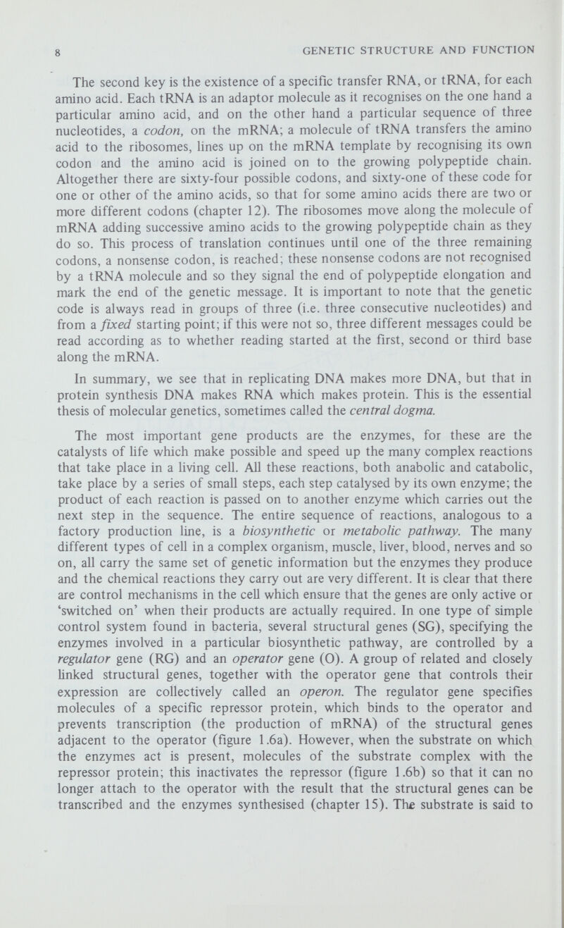 10 GENETIC STRUCTURE AND FUNCTION It was between 1854 and 1864 that Mendel carried out his now famous experiments on the hybridisation of garden peas, and from these correctly deduced the principles of inheritance. A curious feature of these experiments is that there is no record of any preliminary experiments and one gets the impression that he knew exactly what he was looking for—as though just confirming earlier but unrecorded experiments. In 1865 he lectured on his experiments to the Brno Natural History Society, and in 1866 his lecture was published. Gregor Mendel was not the first scientist to carry out breeding experiments with peas in an attempt to determine the principles of heredity but he succeeded while those before him had failed. The reasons for his success are several. Mendel was a gifted experimenter and not only did he understand how best to carry out the experiments to produce meaningful results but also, and unlike those before him, he carefully recorded the exact numbers of each kind of progeny he observed. Moreover, he had a brilliant analytical mind and from his results was able to deduce correctly the principles of heredity and to devise further experiments to confirm his hypothesis. His Versuche über Pflanzenhybriden {Experiments in Plant Hybridisation) is not only of historical interest, it is one of the finest examples of rational thought. The importance of this work was that it recognised that it was not the characters themselves that were inherited, but determinants of characters. Earlier theories, as far back as Hippocrates and Aristotle, always envisaged that in some way it was the characters themselves that were inherited; Charles Darwin, for example, thought in 1868 that 'gemmules' from all parts of the body migrated into the germ cells, and eventually controlled the embryonic development of the organs from which they were derived. Mendel's work now lay forgotten for thirty-five years, and then in 1900 it was independently rediscovered by Hugo de Vries, Carl Correns and Erich von Tschermak. To their disappointment they read of Mendel's discoveries just before publishing their own results and reaHsed that they had been anticipated by nearly forty years. It is important to realise that this rediscovery was not simply a recognition of Mendel's work but a discovery of the principles of inheritance for the second time; thus even if Mendel had not made his discoveries it is unlikely that the history of genetics would have been greatly different. The republication of Mendelian theory in 1900 caused a long and bitter controversy that was only to end with the death of one of the main antagonists, George Weldon. The chief protagonist of Mendelism was a Cambridge biologist, William Bateson, later to be the first Balfour Professor of Genetics at Cambridge. He read of the rediscovery of Mendelism on his way to London to lecture to the Royal Horticultural Society; realising its importance he hastily revised his lecture and so was the first to bring Mendelism to the British Isles. Weldon, Linacre Professor of Zoology at Oxford and joint founder of ХЫ ]о\хш2Х Biometrica, was a fìrm supporter of Francis Galton's law of ancestral heredity which postulated that all variation was continuous and that there was a definite degree of relationship between the individuals in a family, and he continually belittled