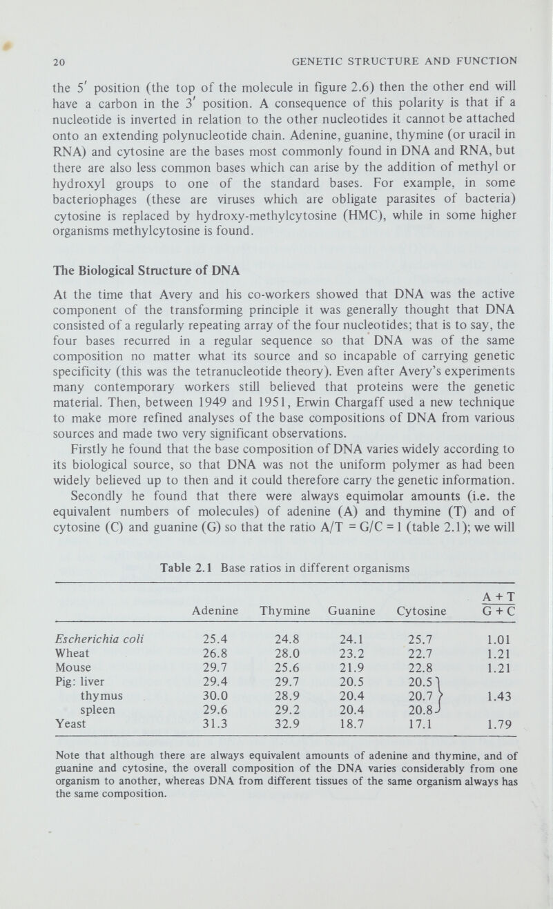 22 GENETIC STRUCTURE AND FUNCTION X-ray photographs they had were of inferior quality and they were unable to come to any conclusions. Then they saw a photograph taken by Rosalind Franklin in Wilkins' laboratory showing a lot of detail not seen before and they were able to propose a model based on their interpretation of this photograph. This model, first presented in 1953, was enthusiastically received by physicists, chemists and biologists alike, and within a few years many different experiments had confirmed its validity. From the photograph Watson and Crick concluded that (1) the polynucleotide chain is helical; (2) the helix has a diameter of 2 nm; (3) the helix makes a complete turn every 3.4 nm; (4) the distance between successive nucleotides is 0.34 nm—that is, there are ten nucleotides for every turn of the helix; (5) there are two polynucleotide chains in the helix. The first important feature of the Watson and Crick model for the structure of DNA is that (usually) the molecule is not just one polynucleotide chain but two such chains twisted around each other in the form of a double helix—rather like two pieces of string that have been twisted together (figure 2.8). The backbones of each strand are the alternating sugar-phosphate groups and the two strands are of opposite polarities; that is to say, the sequence of atoms in one chain is the reverse of the sequence on the other chain, so that one strand is upside down in relation to the other strand—they are said to be antiparallel. The bases are arranged at right angles to the backbones and project into the centre of the molecule; a base on one chain is always paired with a base at the same level on the other chain and each pair of bases is held together by weak hydrogen bonds. 7^11 the bases are paired off in this way so that the two chains are held together all along their length by the H bonds between the pairs of bases. The whole structure is analogous to a rope ladder twisted along its axis, where the side ropes correspond to the sugar-phosphate backbones, and the rungs to the paired bases. The two and three-dimensional structures of DNA are shown in figures 2.7 and 2.8. The second important feature is that the pairing of the bases is not random. If the molecule is to be regular and undistorted then its dimensions are such that there is not room to accomodate a pair of the large purine bases (A and G) while a pair of pyrimidines (C and T) is too small. Furthermore, a base with two hydrogen bonds (A or T) cannot normally pair with a base v^th three bonds (C or G), so that the only possible pairs are adenine with thymine and cytosine with guanine. As a consequence one chain is always complementary to the other chain; if there is a sequence AATCGATC on one chain then the corresponding sequence on the other chain will be TTAGCTAG. Therefore it is a requirement of this model that there be equimolar amounts of adenine and thymine and of cytosine and guanine, exactly as was observed by Chargaff (table 2.1). Observe that the model places no restriction on the order of the base pairs along the molecule so that there is no reason why the ratio of the numbers