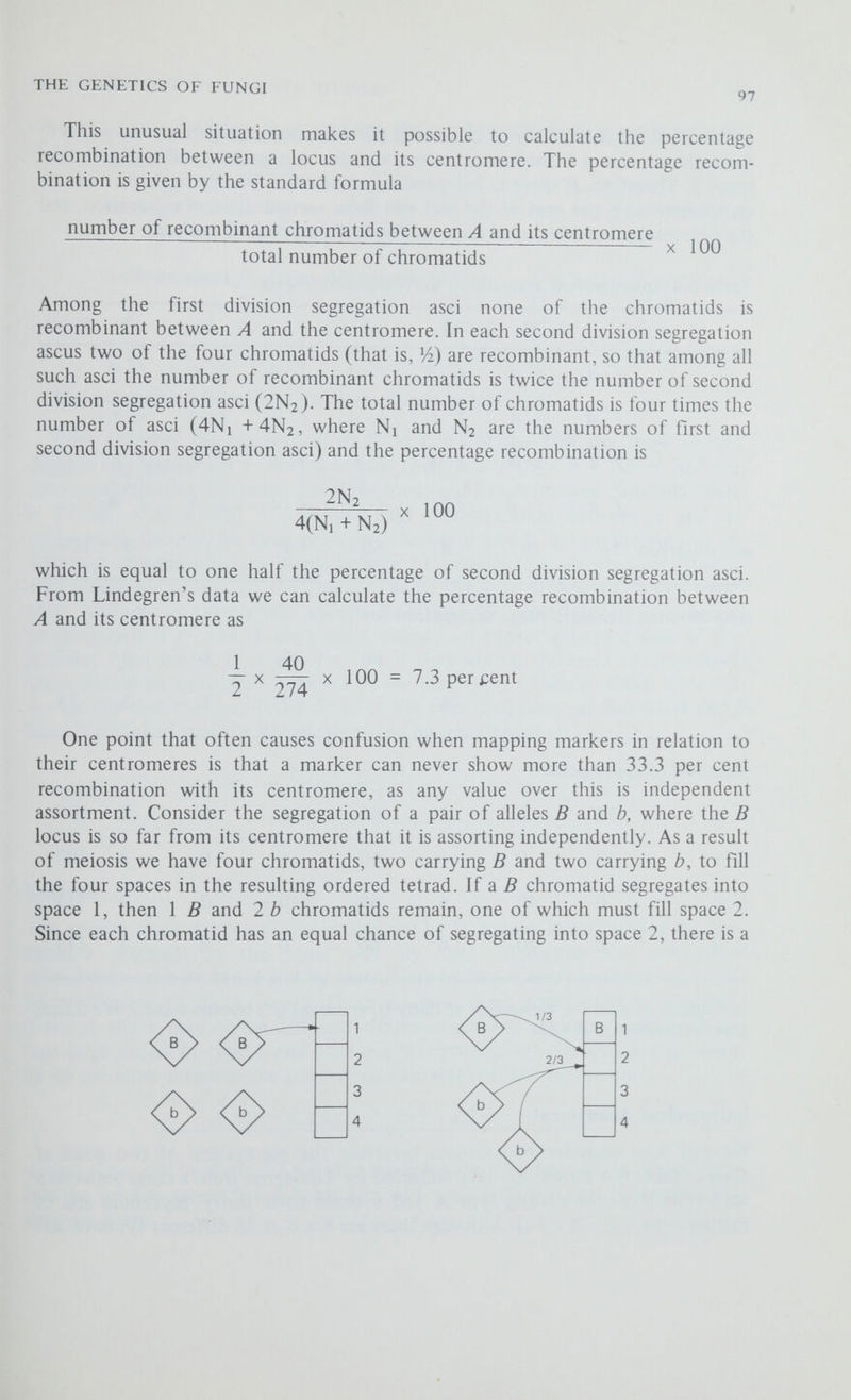 THE GENETICS OF FUNGI 99 when two pairs of alleles are segregating, the number reduces to seven as an ascus of the type ГЛ can also represent / a ГЛ fa fa f* A fa f* A while an ascus f* A can also represent f* A fa and / a fa f a f* A f* A f*A f a f* A fa fa rAfa f*A The seven possible types of ascus are shown in table 6.4. First consider the segregation of f* vs f 67 of the 109 asci show second division segregation for and f, so that there is 67/109 x x 100 = 30.7 per cent recombination between the fluffy locus and its centromere. Similarly there is 13/109 X Vi X 100 = 5.96 per cent recombination between A and its centromere. Second, we must consider whether A and f* are on the same or on different chromosomes—is there linkage or independent assortment? This is determined by adding up the frequencies of the four different types of spore pairs (just as in Drosophila, except that then we were looking at progeny phenotypes); if and A are closely linked, we expect a large excess of the parental type spores A and fa, but if they are on different chromosomes there should be equivalent numbers of the four types of spore. From table 6.4 we can see that the four types occur at the same frequency so that the Л and/ loci are unUnked, and the linkage maps can be represented as: < 6 >A e < 30.7 0 Linkage The second cross A v x av* was carried out by H. Branch Howe (table 6.5). The analysis proceeds in the same way by first calculating the percentage recombinations between Л and its centromere (6.29 per cent) and between v and its centromere (6.20 per cent). There are now three possibilities to consider. First, A and v may be on different chromosomes and assorting independently (the large excess of type 1 asci rules out this possibility). Second, A and v may be on the same chromosome and on opposite sides of the centromere. A < 6.29 6.2 V e so that there will be about 12 per cent recombination between them. Third, they щау be on the same chromosome arm with only 0.09 per cent recombination between them