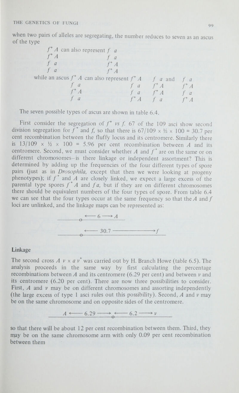 THE GENETICS OF FUNGI Table 6.5 Linkage in Neurospora crassa 101 1 2 3 4 5 6 7 A V A A V A A V A A v A V A V* A V* a V* a a v a v* a V* a V a V A v A v A v* A v* + + + a V a V a V a v a v a v a v asci observed 888 1 126 128 5 3 10 percentage recombination between: , (128 + 5 + 3 + 10) A - centromere = 5 x 7V7\ x 100 = 6.287 per cent 1161 F - centromere = 5 x —т-гтг—x 100 = 6.20 per cent ^ 1161 (4 + 252 + 256 + 12 + 20) A - V =   x 100 = 11.71 per cent 4644 A< 6.28 6.20 >v that IS  11.71 Howe's data (1956) on the segregation of mating type, A I'S a, and visible slow growth (v) w normal (v ^) mycehum in the cross A v \ a 7 tetratype asci also show second division segregation for both Л-a and v -v and are the result of three-strand double crossing-over in I + II. We are interested in only those asci that are the result of more than one cross-over—types 2, 5, 6 and 7. The simplest way to account for the discrepancy is to tabulate the total numbers of chromatids scored as recombinant in I, in II and between A and v* (table 6.6). Consider, for example, the five type 5 asci. Each ascus was scored as recombinant in I, recombinant in II but as non-recombinant between A and thus a total of 5x2, or ten, chromatids were scored as recombinant in I, ten as recombinant in II and 5 x 0 or none as recombinant between A and v . When this is done for each of the four ascus types we see that thirty-six chromatids were detected as being recombinant in I,
