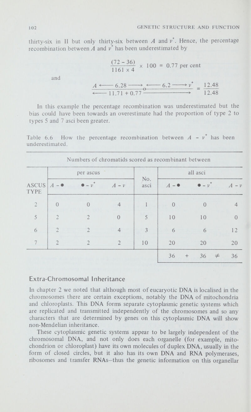 104 GENETIC STRUCTURE AND FUNCTION crosses heterozygous chromosomal markers showed the expected 2:2 segre¬ gation. Ephrussi correctly concluded that normal yeast cells contain cytoplasmic particles which enable them to grow aerobically and that in the petite strains these particles had all been lost—thus when the petites were backcrossed with a normal strain the latter contributed some of these particles to each ascospore so that all the progeny were normal. More recent work has revealed that the mitochondria of the petite cells are unable to incorporate amino acids into protein and it is thought that these mitochondria contain deletion type mutations in their DNA molecules or sometimes contain no DNA at all. Thus the cytoplasmic particles postulated by Ephrussi can be idemified as mitochondria containing normal molecules of mitochondrial DNA, Since each cell contains many mitochondria, each in turn containing several molecules of DNA, it is difficult to see how so many daughter cells (10'^) fail to inherit at least one mitochondrion containing normal DNA, but it is a fact that they do (figure 6.6). The study of organellar DNA is still in its infancy and a lot of research will be necessary before we can even start to understand the complex interactions that almost certainly occur between the gene products of nuclear and organellar DNA. Summary of Key Points (1) In most organisms the products of meiosis do not remain associated but in the ascomycetes the four meiotic products remain together as a tetrad of ascospores. (2) The tetrad of yeast is unordered, but in Neurospora the spores are in a linear order within the ascus. (3) In organisms with either ordered or unordered tetrads, linkage can be calculated from the relative frequencies of the different types of tetrad. (4) In organisms with an ordered tetrad it is also possible to measure linkage between a locus and its centromere, and so to map the position of the centromere. (5) The examination of individual tetrads confirms that recombination is a precisely reciprocal process and that each cross-over involves only two of the four products of meiosis. (6) Some characters are determined by genes located on the DNA of cell organelles, such as mitochondria and chloroplasts; these characters do not show Mendehan segregation.