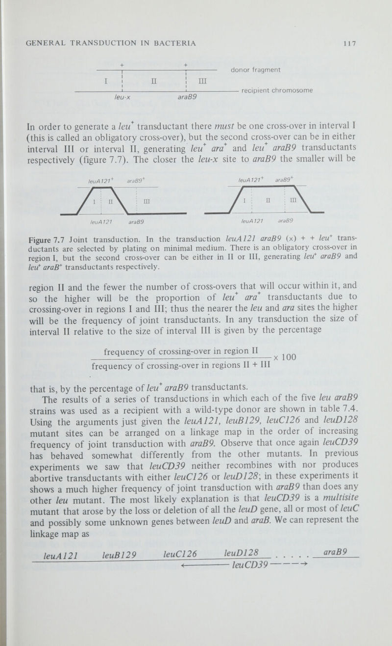 GENERAL TRANSDUCTION IN BACTERIA 119 transduction « + + leu ara transductants how crossing over must occur if the order of the mutant sites is leuC126 leuA121 araB9 leuA121 leuC126 araB9 leuC126 leuC126 leu Al 21 агаВ9 (x) leuC126 6.5 2^^ + /euAI21 araBS leuA12t  araB9 + leuAJ21 leu A 121 + leuC126 агаВ9 (x) leuA12î 52 leuC126 araB9 ZZ3. leu CI 26 агзВ9 Figure 7.8 Establishing linkage order by three-point transductions. The diagrams show where crossing-over must occur to generate leu^ araB'^ transductants for each of the possible linkage orders. not leuC126 between them. Since quadruple crossing-over will be rare compared to double crossing-over only a few joint transductants will be expected. As only 6 per cent joint transductants were observed we conclude that the correct order is leuA121 . . . leuC126. . . araB9. This is confirmed by the result of the transduction leuC126 araB9 (x) leuA121. With the gene order leuC126 . . . leuA121 . . . araB9 quadruple crossing-over is necessary to account for the leu* ara* joint transductants wliile with the order leuA121 . . . leuC126 . . . araB9 only one pair of cross-overs is required. The observed frequency of 52 per cent is too high to be explained by quadruple crossing-over and is almost exactly the frequency of joint transduction observed in leuC126 araB9 (x) + + (table 7.4). We again infer that the gene order must be leuA121. . . leuC126. . . araB9. Two points we must note are, firstly, that the same order would have been obtained if we had selected ara* transductants and characterised these for their ability to grow on minimal medium and, secondly, by combining the results of a series of experiments we can build up a more complete linkage map of the leucine gene cluster. Deletion Mapping By far the most accurate method for establishing where the site of a mutation is located is by using multisite mutants. By definition these mutants behave as if they are missing a part of their chromosome and so are often called deletion mutants. If a deletion mutant (for example leuCD39) is crossed with a point mutant (a single-site mutant) the outcome will depend on the position of the point mutation in relation to the segment missing in the deletion mutant. If the point mutation is located in the segment of chromosome corresponding to the missing region in the deletion mutant (for example leuD128) then recom¬ bination obviously cannot restore a wild-type chromosome and generate wild-type transductants, but if the point mutation is located outside the region covered by the deletion (for example leuB129) recombination can take place