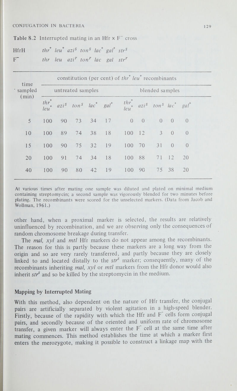 CONJUGATION IN BACTERIA 131 th/ leu^ azi^ ton^ lac^ gaf X Time of entry (min) 8 85 9 1 1 18 25 25+ ' Gradient of Transmission (%) 100 90 70 45 25 15 (a) A comparison of genetic mapping by interrupted mating and by gradient of transmission. \ \ 2 775 minutes 0 thr leu azi ton lac gal X nucleotide 1.6 1.6 6.6 23.1 23.1 1.6 pairs X 10^ (b) Since the chromosome is transferred at a uniform rate of 3.3 x 10* nucleo¬ tides per minute, the time intervals between markers can be converted to numbers of nucleotide pairs. Figure 8.5 Genetic mapping of the proximal end of the HfrH chromosome i The inner circles show the points of entry and the directions of transfer of four independently isolated Hfr strains.