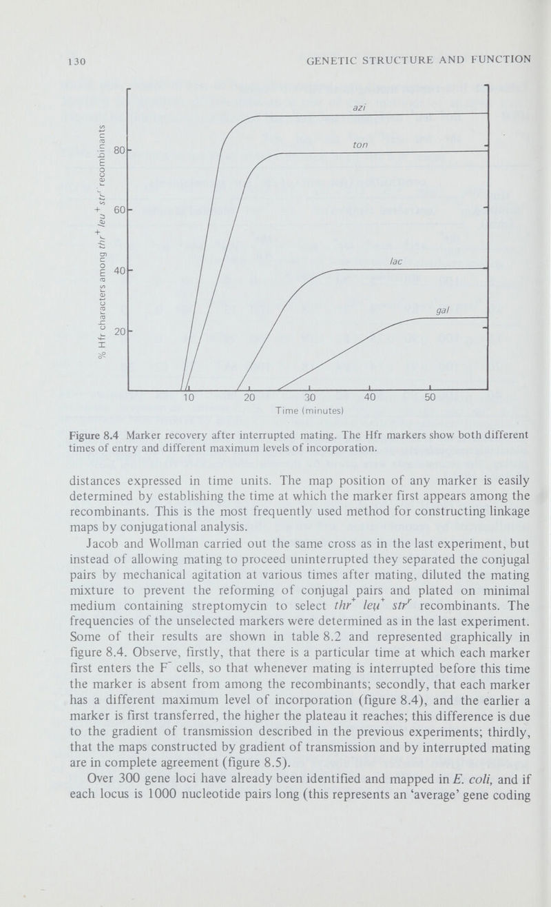 132 GENETIC STRUCTURE AND FUNCTION for a polypeptide about 330 amino acids long) this leaves 3000 loci, or 90 per cent of the chromosome, still to be identified. A map showing some of the known loci is shown in figure 8.6: this map is drawn to scale in terms of time units, and the threonine locus at 12 o'clock is arbitrarily assigned the position of 0 minutes. Figure 8.7 The formation of an F-prime factor. An F factor is normally released from the bacterial chromosome by an exact reversal of the recombination process which integrated it, but occasionally 'illegitimate pairing and crossing-over' occurs and generates an F-prime factor incorporating an adjacent segment of the bacterial chromosome. F-Prime Factors In 1959 Edward Adelberg and S. N. Burns reported the unusual behaviour of an Hfr strain of E. coli, P4x, which transferred its markers in the sequence 0-pro-leu-gal-lac-¥. In normal Hfr P4x x F crosses the chromosome was transferred at high frequency and, as expected, all the recombinants were F~, but with one particular isolate, P4x-1, they observed three unusual features. First, P4x-1 transferred its chromosome with the same orientation as P4x but at only one-tenth the frequency, and so they termed P4x-1 an intermediate (I) type donor. Second, the F factor of P4x-1 was transferred at high frequency and all the recombinants were converted to I type donors similar to P4x-1. Third, the transmission of donor abihty occurred independently of chromosome transfer. It seemed clear that P4x-1 contained an F factor which alternated between a particular site on the chromosome (between lac and pro) and the autonomous state so that in a population of P4x-1 cells only 10 per cent of the cells have an integrated F and can transfer their chromosomes. Adelberg and Burns further E. coU chromosome F factor +