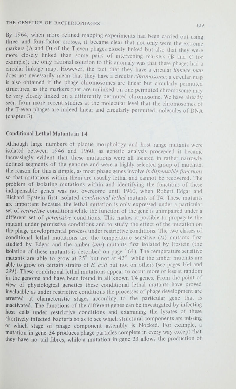 THE GENETICS OF BACTERIOPHAGES 141 gene 27 mutant gene 23 mutant complete phage particles are produced (a) gene 13 mutant lysate mixed with normal heads lysate mixed with normal tails incubate Д о complete phage incubate (b) no assembly Figure 9.4 In vitro complementation between conditional lethal mutants of T4. (a) A mutant in gene 23 produces tails and tail fibres but no heads while a gene 27 mutant produces heads and tail fibres but no tails. When lysates from the two abortively infected cell populations are mixed together and incubated infectious particles are produced. The gene products of the two mutants are able to complement each other in vitro. (b) The lysate from cells infected with a gene 13 mutant contains what appears to be complete phage heads, tails and tail fibres, but no complete phages. When this lysate is mixed with normal (completed) heads and incubated complete phage particles are produced; no assembly takes place when the lysate is mixed with complete tails. It is clear that the heads produced by the gene 13 mutant are incomplete and defective and, further, that the heads, tails and tail fibres can only be assembled when complete heads are present.