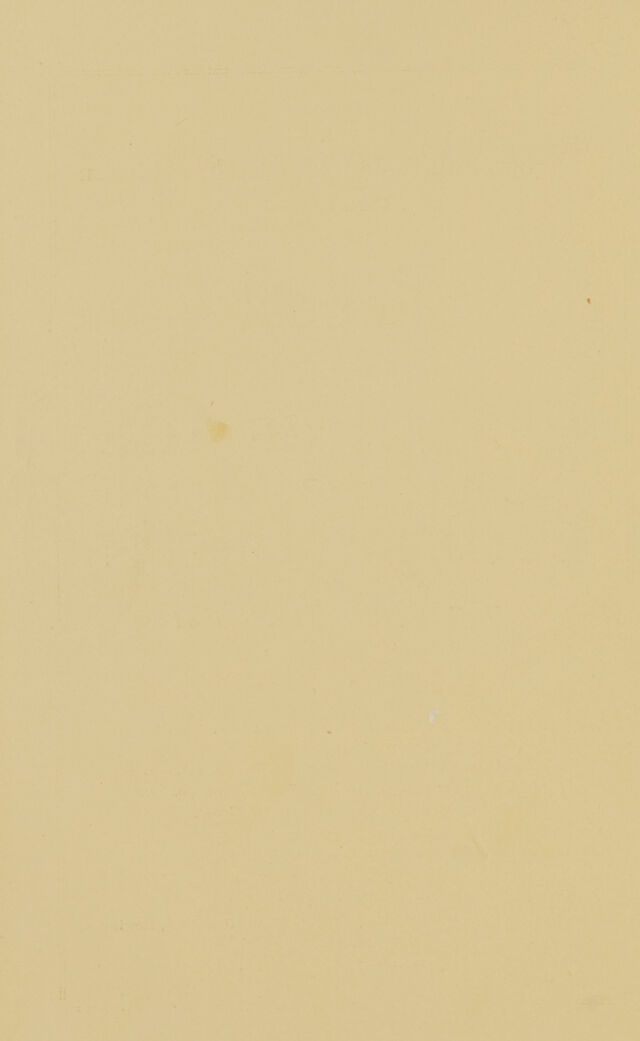 digitised image 2