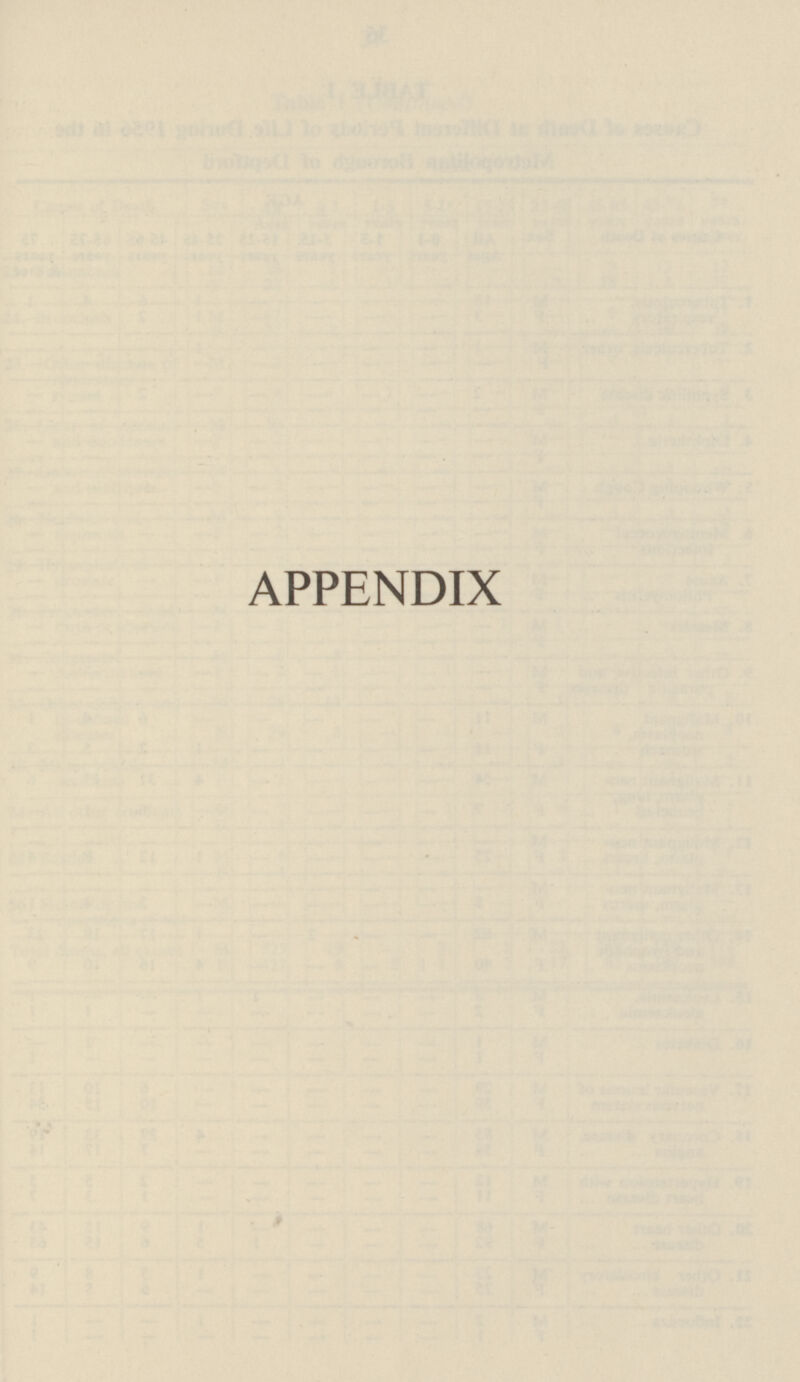 APPENDIX