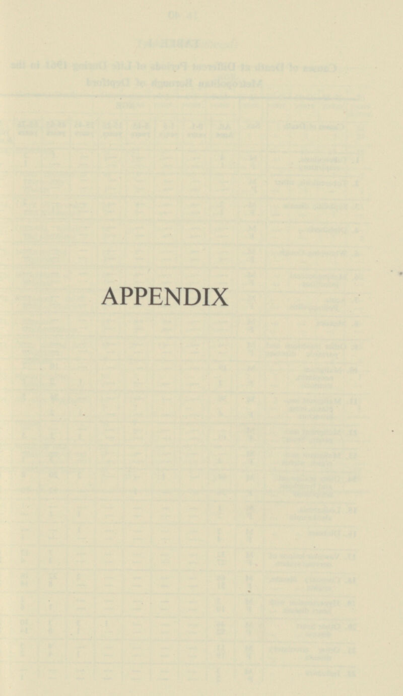 APPENDIX