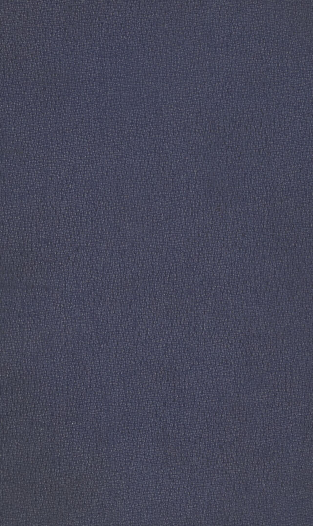 digitised image 1