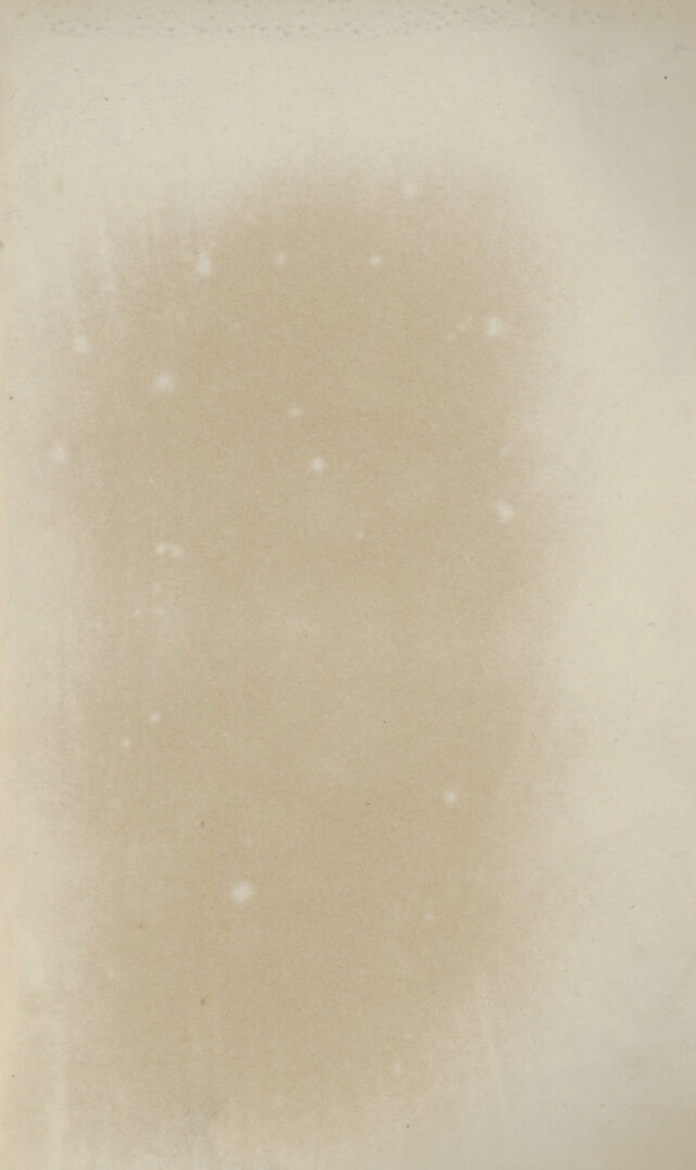 digitised image 3