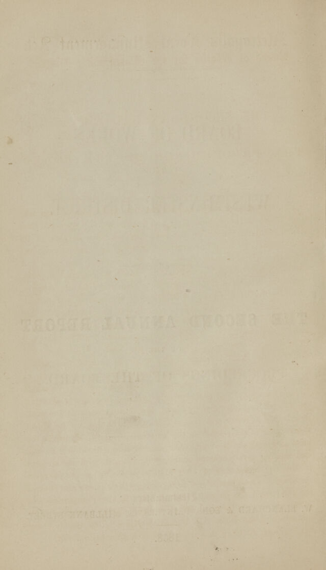 digitised image 2