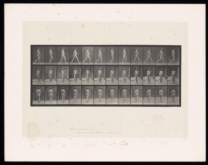 A naked man walking. Collotype after Eadweard Muybridge, 1887.
