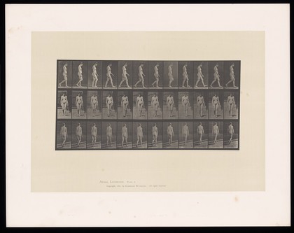 A naked woman walking. Collotype after Eadweard Muybridge, 1887.