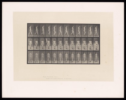 A naked woman walking. Collotype after Eadweard Muybridge, 1887.