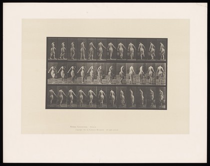 A naked woman walking. Collotype after Eadweard Muybridge, 1887.