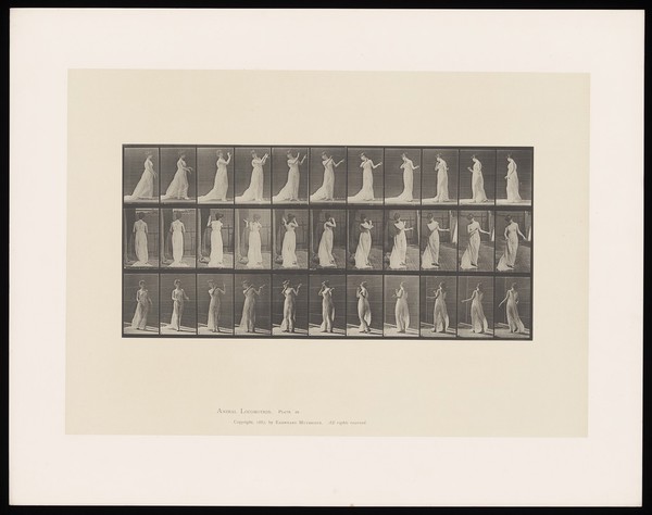 A woman walking, wearing a sheer dress. Collotype after Eadweard Muybridge, 1887.