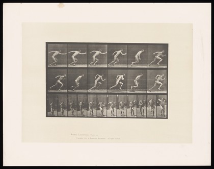 A man sprinting. Collotype after Eadweard Muybridge, 1887.