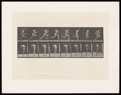 A man sprinting. Collotype after Eadweard Muybridge, 1887.