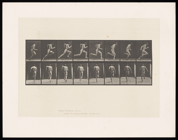 A man sprinting. Collotype after Eadweard Muybridge, 1887.