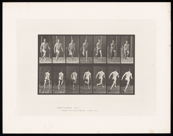 A naked man running. Collotype after Eadweard Muybridge, 1887.