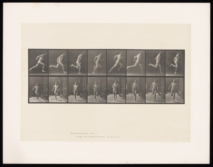 A naked man running. Collotype after Eadweard Muybridge, 1887.