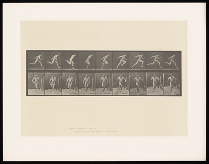 A naked man running. Collotype after Eadweard Muybridge, 1887.