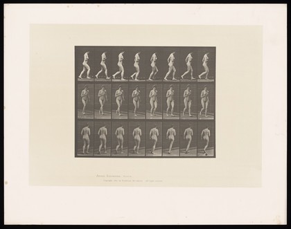 A naked woman running with her right arm bent up to her chest. Collotype after Eadweard Muybridge, 1887.