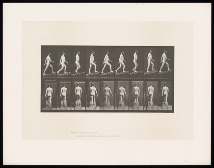 A man wearing only a hat walking up a slope. Collotype after Eadweard Muybridge, 1887.