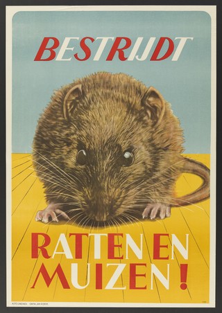 A rat; representing the battle against rats and mice in the Netherlands. Lithograph by J. Roëde, ca. 1950 (?).
