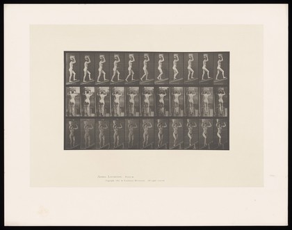 A naked woman walking with a basket on her head. Collotype after Eadweard Muybridge, 1887.