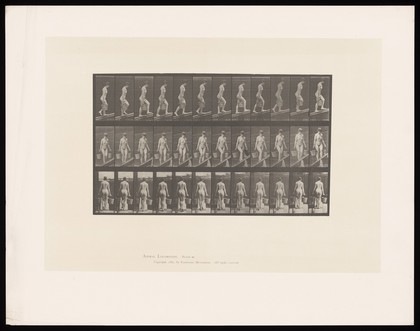 A naked woman walking up a slope with a bucket in each hand. Collotype after Eadweard Muybridge, 1887.