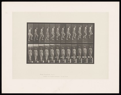 A naked woman walking up steps. Collotype after Eadweard Muybridge, 1887.