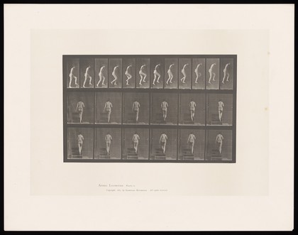 A naked woman walking up steps. Collotype after Eadweard Muybridge, 1887.