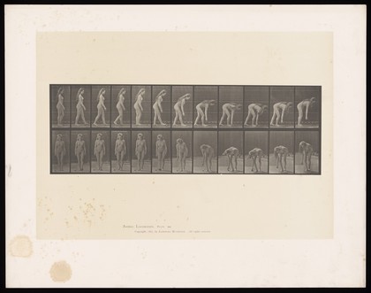 A naked woman walking and picking up a ball. Collotype after Eadweard Muybridge, 1887.