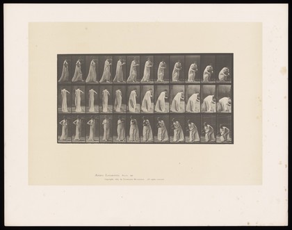 A clothed woman stooping to lower a vase of flowers towards the floor. Collotype after Eadweard Muybridge, 1887.