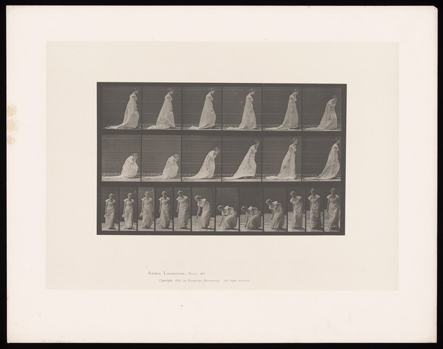 A clothed woman walking and bending to lift a handkerchief with her right hand. Collotype after Eadweard Muybridge, 1887.